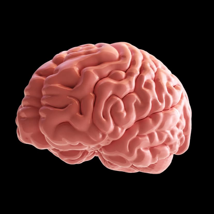 Neurociência aplicada ao aprendizado para concursos públicos